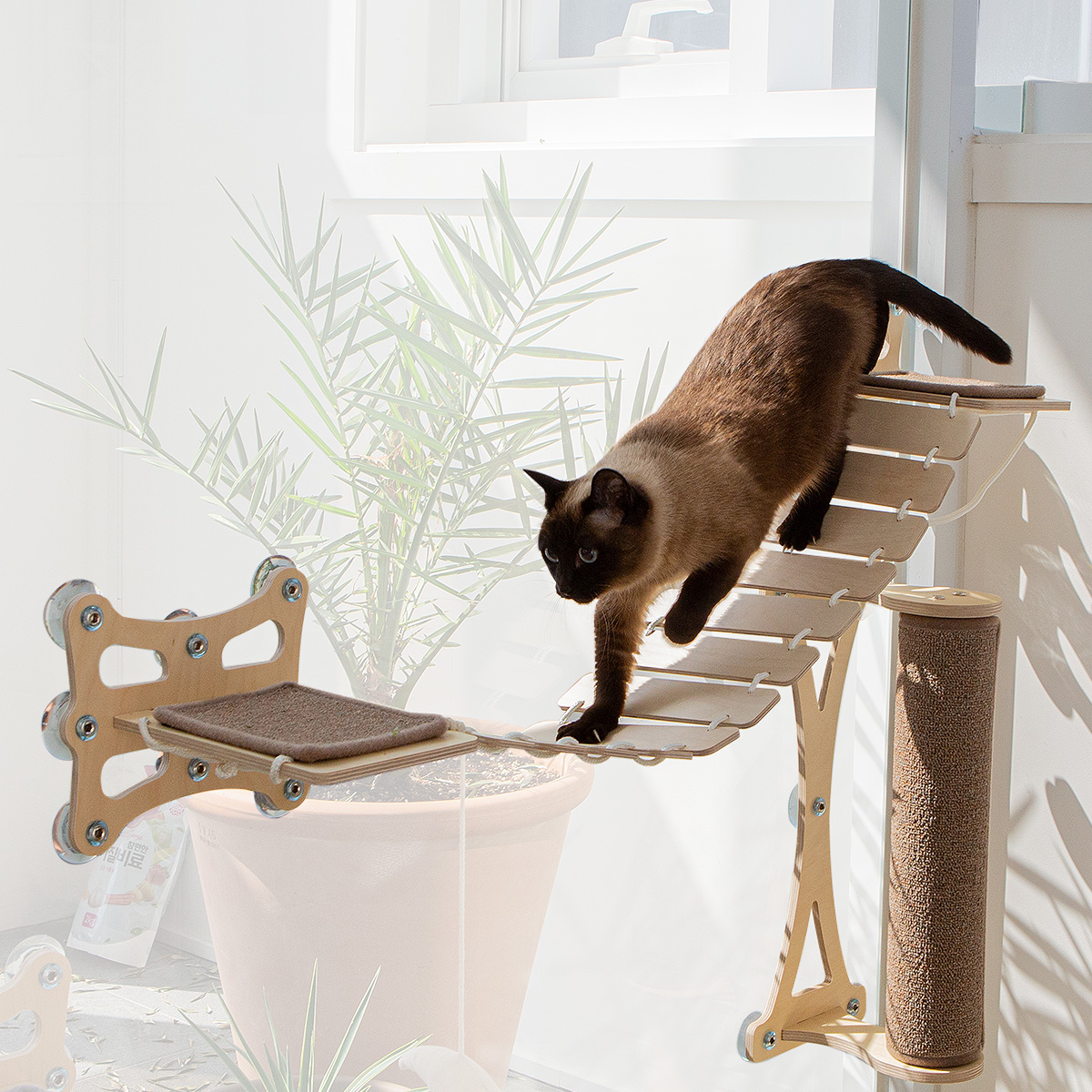 ネコ様用 小花 若草色 猫の首輪 | Pay ID 猫用ケーブベッド | 可愛くて