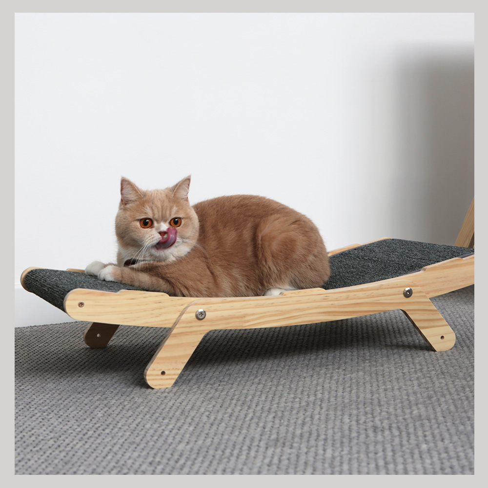 キャット カーペットハンモック - ネコシア